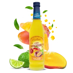 Zestaw 6 syropów lemoniadowych LETNIE SMAKI - 6x430 ml